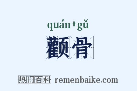 颧骨是什么意思的图片